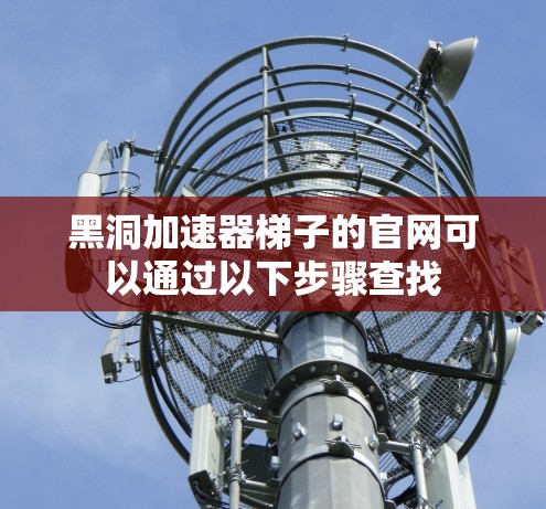 黑洞加速器梯子的官网可以通过以下步骤查找