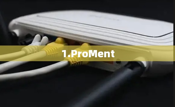 1.ProMent