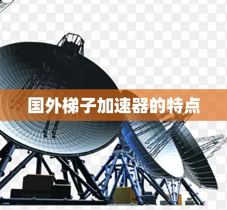 国外梯子加速器的特点