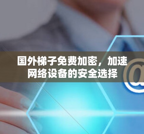 国外梯子免费加密，加速网络设备的安全选择