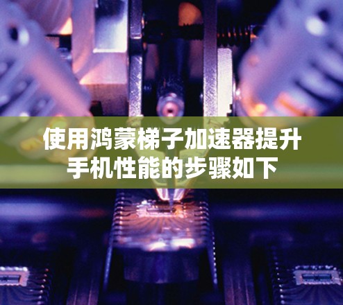 使用鸿蒙梯子加速器提升手机性能的步骤如下