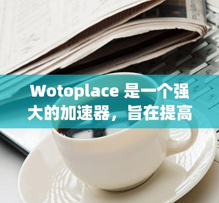 Wotoplace 是一个强大的加速器，旨在提高系统性能和加速应用程序的运行。以下是几种常见的Wotoplace加速器及其使用方法