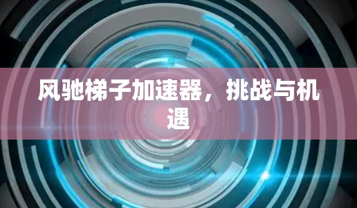 风驰梯子加速器,挑战与机遇 风驰梯子加速器,挑战与机遇