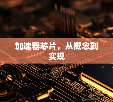 加速器芯片，从概念到实现
