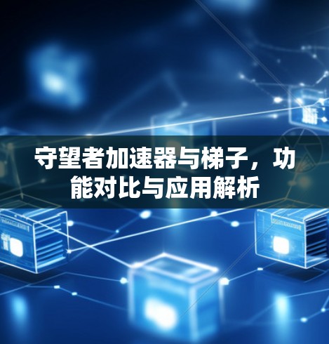 守望者加速器与梯子,功能对比与应用解析 守望者加速器与梯子,功能对比与应用解析