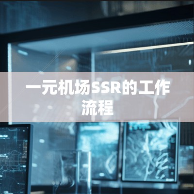 一元机场SSR的工作流程 一元机场SSR的工作流程