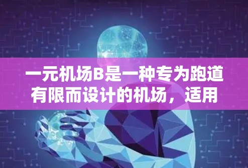 一元机场B是一种专为跑道有限而设计的机场，适用于无法容纳多条跑道的情况。以下是对这一元机场的详细分析