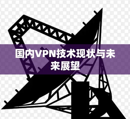 国内VPN技术现状与未来展望 国内VPN技术现状与未来展望