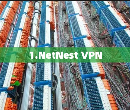 1.NetNest VPN