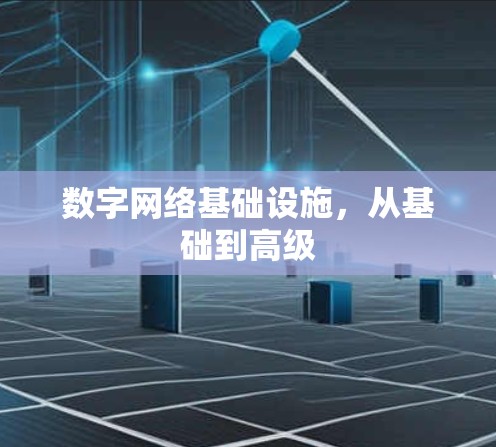 数字网络基础设施，从基础到高级
