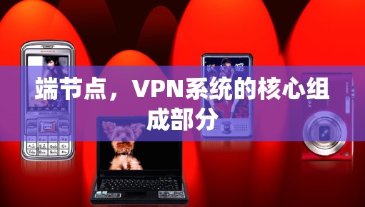 端节点，VPN系统的核心组成部分