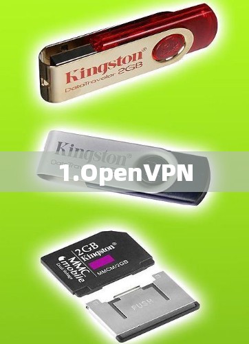 1.OpenVPN