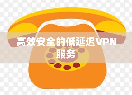 高效安全的低延迟VPN服务 高效安全的低延迟VPN服务