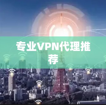 专业VPN代理推荐 专业VPN代理推荐