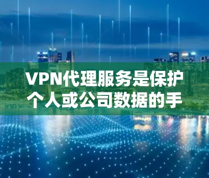 VPN代理服务是保护个人或公司数据的手段，主要分为云VPN和物理VPN两种类型。以下是详细的对比分析