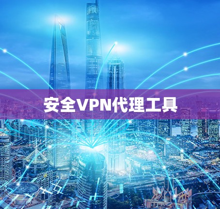 安全VPN代理工具 安全VPN代理工具