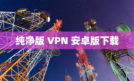 纯净版 VPN 安卓版下载 纯净版 VPN 安卓版下载