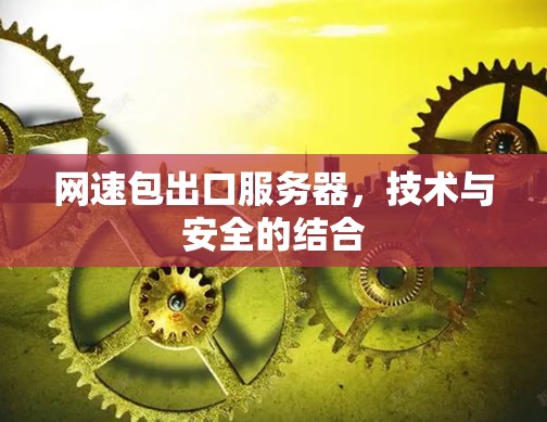 网速包出口服务器,技术与安全的结合 网速包出口服务器,技术与安全的结合