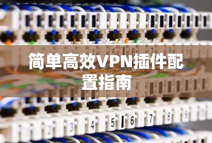 简单高效VPN插件配置指南