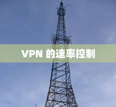 VPN 的速率控制