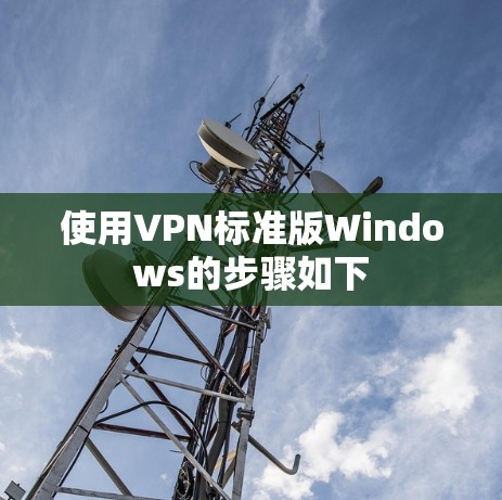 使用VPN标准版Windows的步骤如下 使用VPN标准版Windows的步骤如下