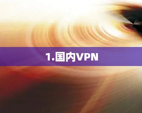1.国内VPN 1.国内VPN