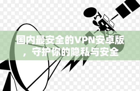 国内最安全的VPN安卓版，守护你的隐私与安全