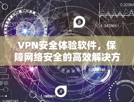 VPN安全体验软件，保障网络安全的高效解决方案
