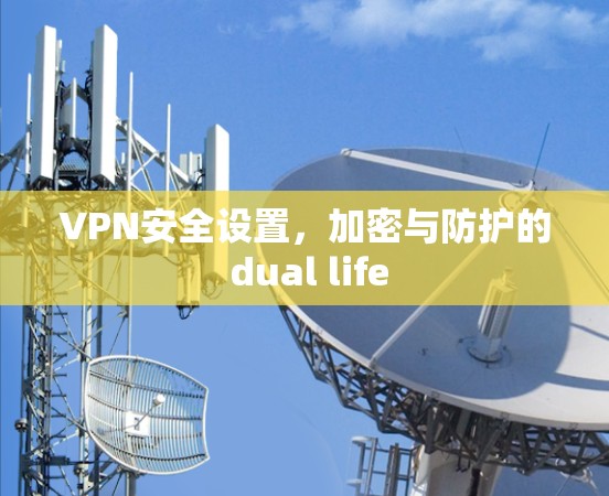VPN安全设置，加密与防护的 dual life