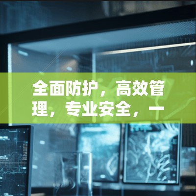 全面防护,高效管理,专业安全,一款专业的VPN安全可靠软件 全面防护,高效管理,专业安全,一款专业的VPN安全可靠软件