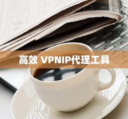 高效 VPNIP代理工具
