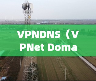 VPNDNS(VPNet Domain Name Service)是一个用于设备间地址转换的网络服务,专为多设备网络提供灵活的IP地址转换功能。以下是关于VPNDNS的详细说明 VPNDNS(VPNet Domain Name Service)是一个用于设备间地址转换的网络服务,专为多设备网络提供灵活的IP地址转换功能。以下是关于VPNDNS的详细说明