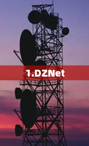 1.DZNet 1.DZNet