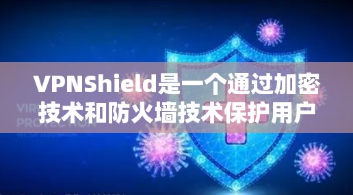 VPNShield是一个通过加密技术和防火墙技术保护用户信息安全的软件，提供多种安全机制以防止恶意攻击和未经授权的访问。以下是对VPNShield的详细分析和总结