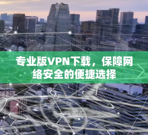 专业版VPN下载，保障网络安全的便捷选择
