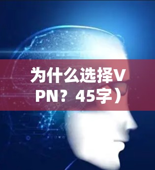 为什么选择VPN？45字）