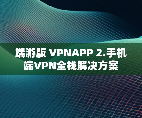 端游版 VPNAPP 2.手机端VPN全栈解决方案