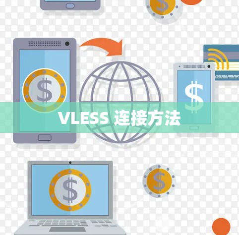 VLESS 连接方法