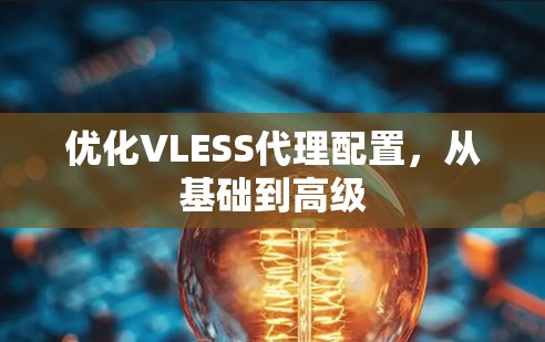 优化VLESS代理配置，从基础到高级