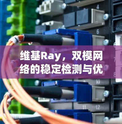 维基Ray，双模网络的稳定检测与优化