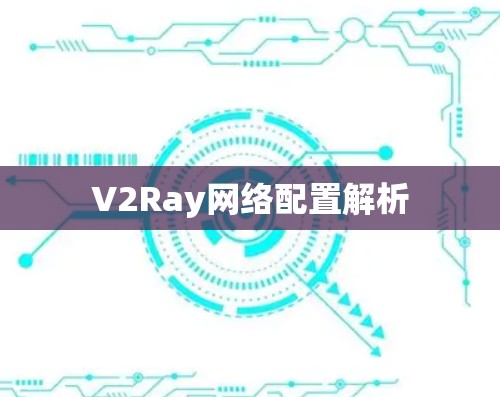 V2Ray网络配置解析 V2Ray网络配置解析