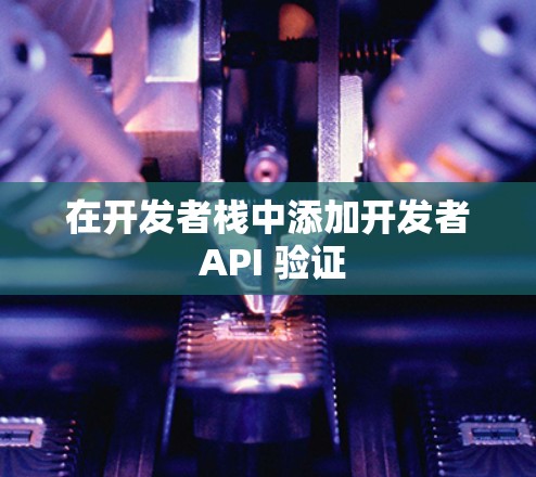 在开发者栈中添加开发者 API 验证 在开发者栈中添加开发者 API 验证