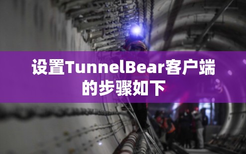 设置TunnelBear客户端的步骤如下