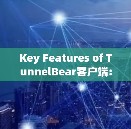 Key Features of TunnelBear客户端: