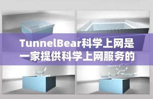 TunnelBear科学上网是一家提供科学上网服务的公司，专注于提供科学、医学、技术相关的在线服务。用户询问的是其海外访问体验，以下是对该服务的详细介绍和分析