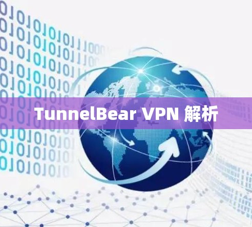 TunnelBear VPN 解析 TunnelBear VPN 解析
