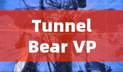 TunnelBear VPN电脑客户端，在网络安全中守护你的隐私