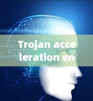 Trojan acceleration engine，效率与安全性并存的智能加速装置
