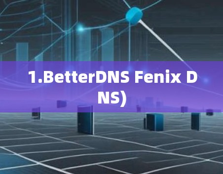 1.BetterDNS Fenix DNS) 1.BetterDNS Fenix DNS)