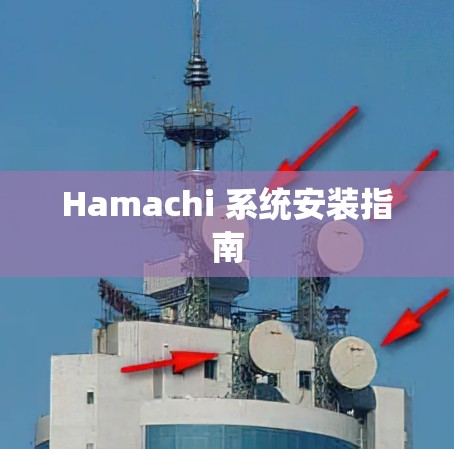 Hamachi 系统安装指南